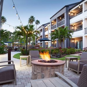 Courtyard St. Petersburg Clearwater